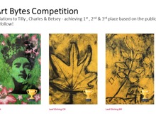 Yr9 art bytes competition 2025