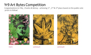 Year 9 Art Bytes Competition